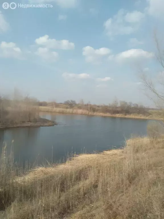 Участок в Клетское сельское поселение, СНТ Успех (12 м) - Фото 0