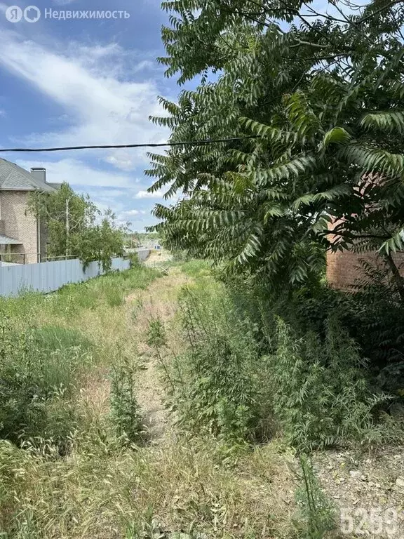 Участок в хутор Камышеваха, Центральная улица (21 м) - Фото 0