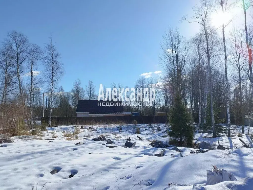 Участок в Ленинградская область, Выборг ул. Авиагородок, 1 (12.0 сот.) - Фото 1