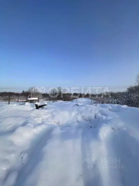 Участок в Тюменская область, Тюмень Энергостроитель СНТ, ул. Липовая ... - Фото 1