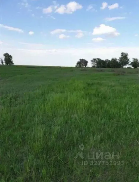 Участок в Астраханская область, пос. Володарский  (25.0 сот.) - Фото 2