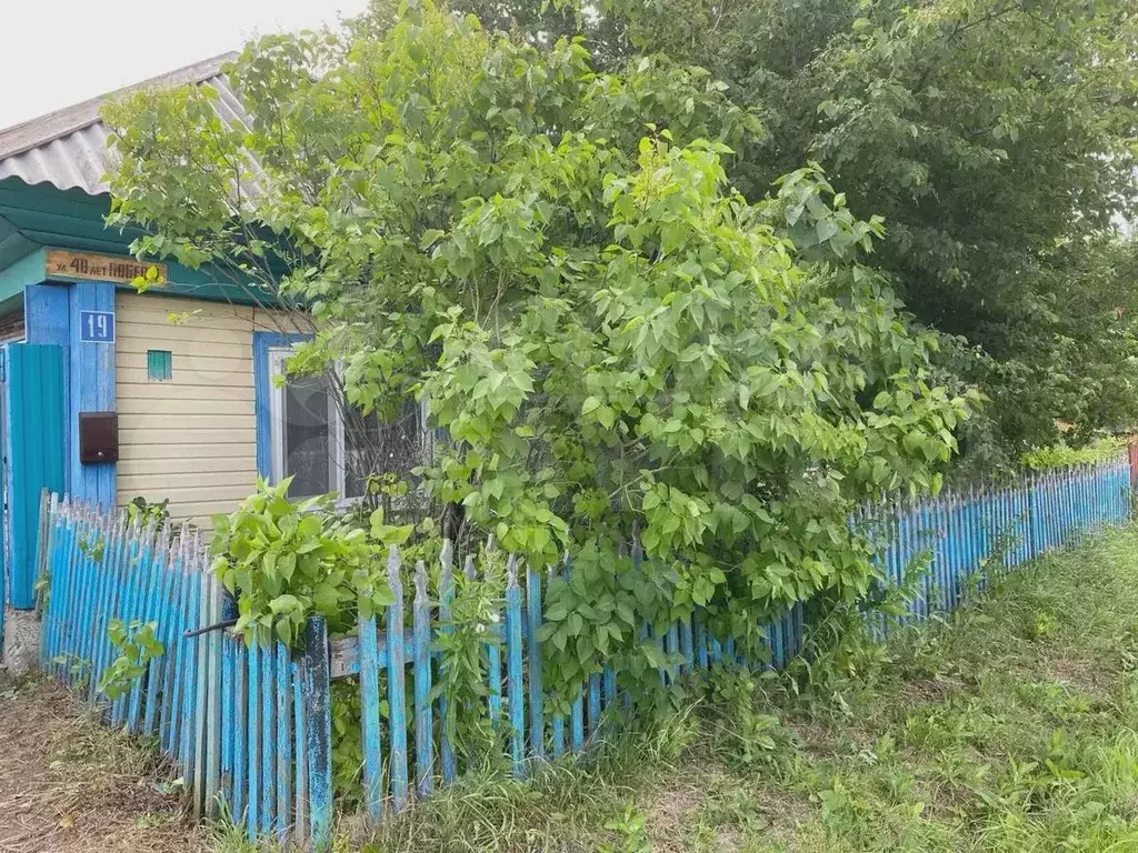 Дом 25,2 м на участке 4 сот. - Фото 1