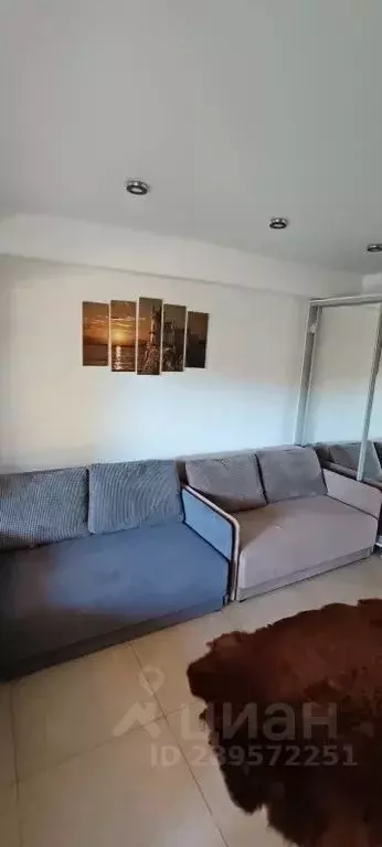 Студия Крым, Ялта муниципальный округ, Гаспра пгт ул. Маратовская, 67 ... - Фото 1