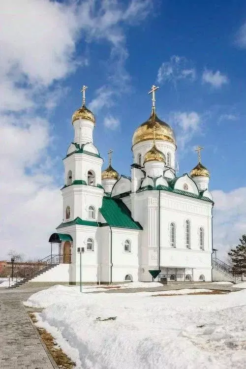 Участок в Алтайский край, Первомайский район, с. Санниково ул. ... - Фото 1