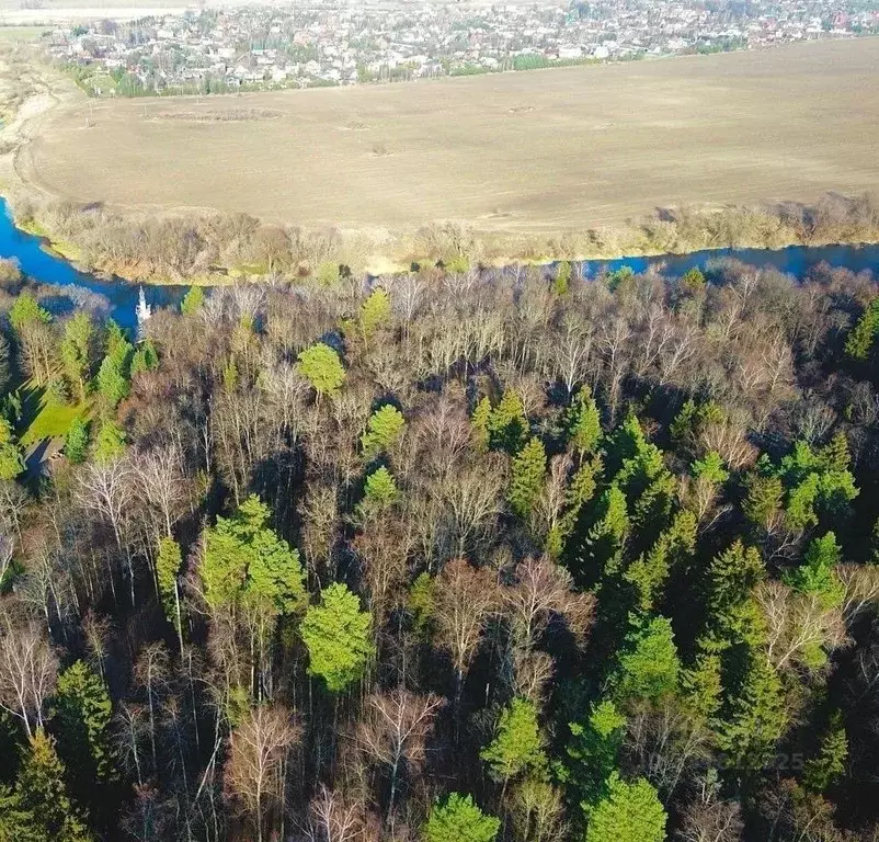 Участок в Московская область, Звенигород Одинцовский городской округ, ... - Фото 1