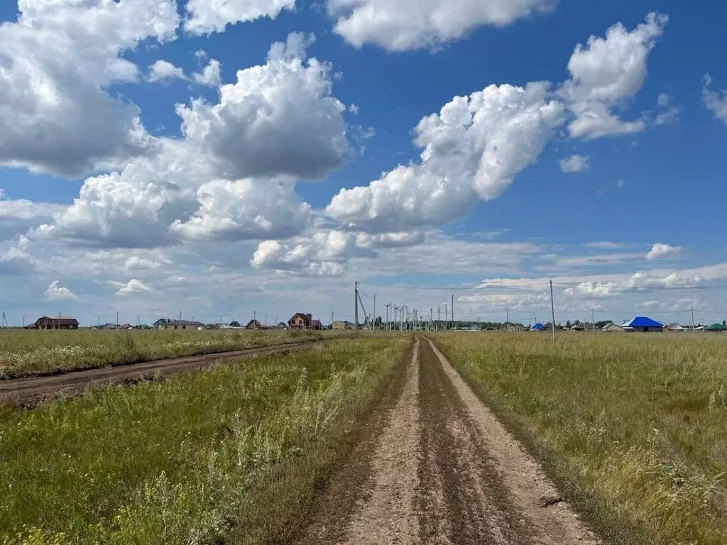 Участок в Оренбургская область, Оренбург городской округ, с. Пруды  ... - Фото 1