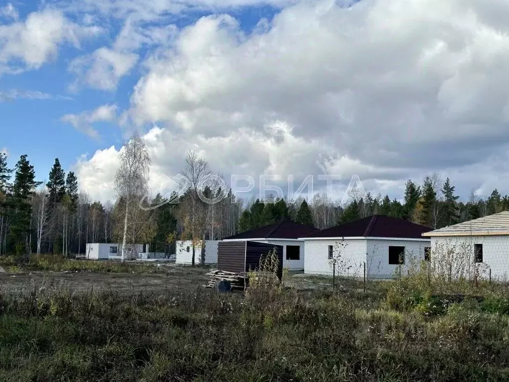 Участок в Тюменская область, Нижнетавдинский район, с. Тюнево  (1.0 ... - Фото 1