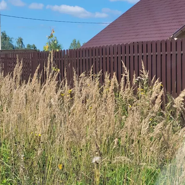 Участок в Московская область, Мытищи городской округ, д. Голенищево ... - Фото 2