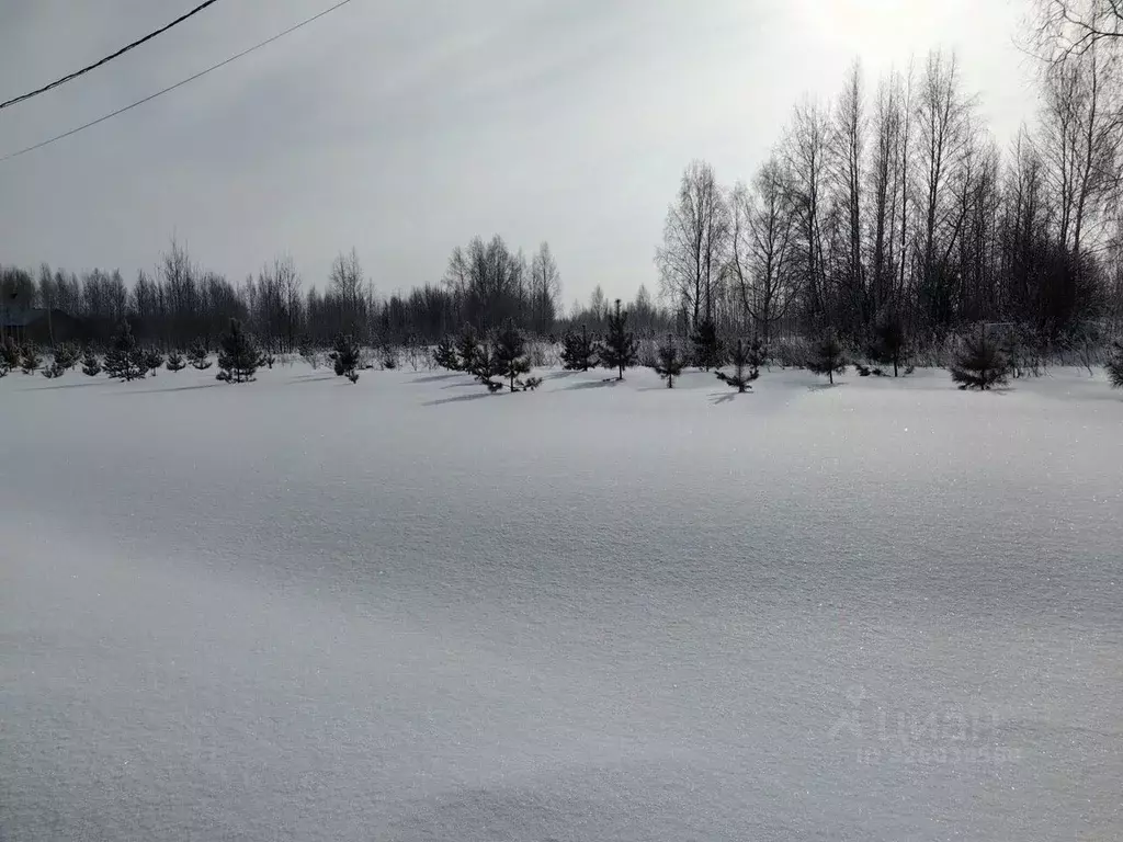Участок в Новосибирская область, Новосибирский район, Барышевский ... - Фото 2