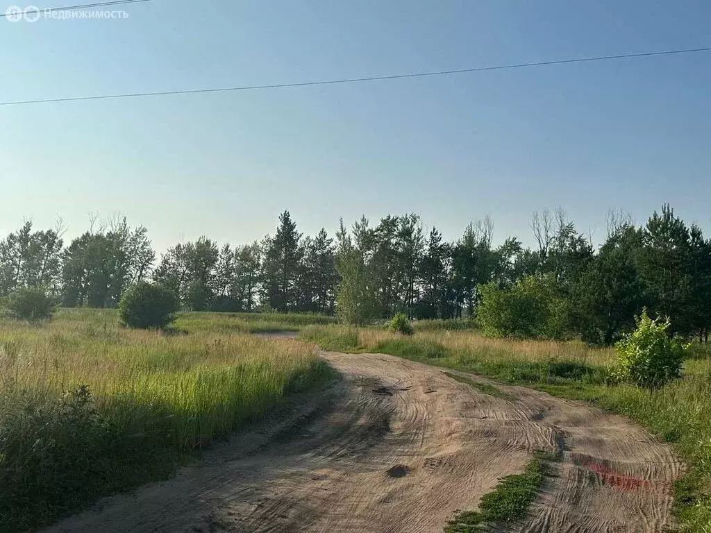 Участок в село Малая Царевщина, Молодёжная улица, 12 (7 м) - Фото 0