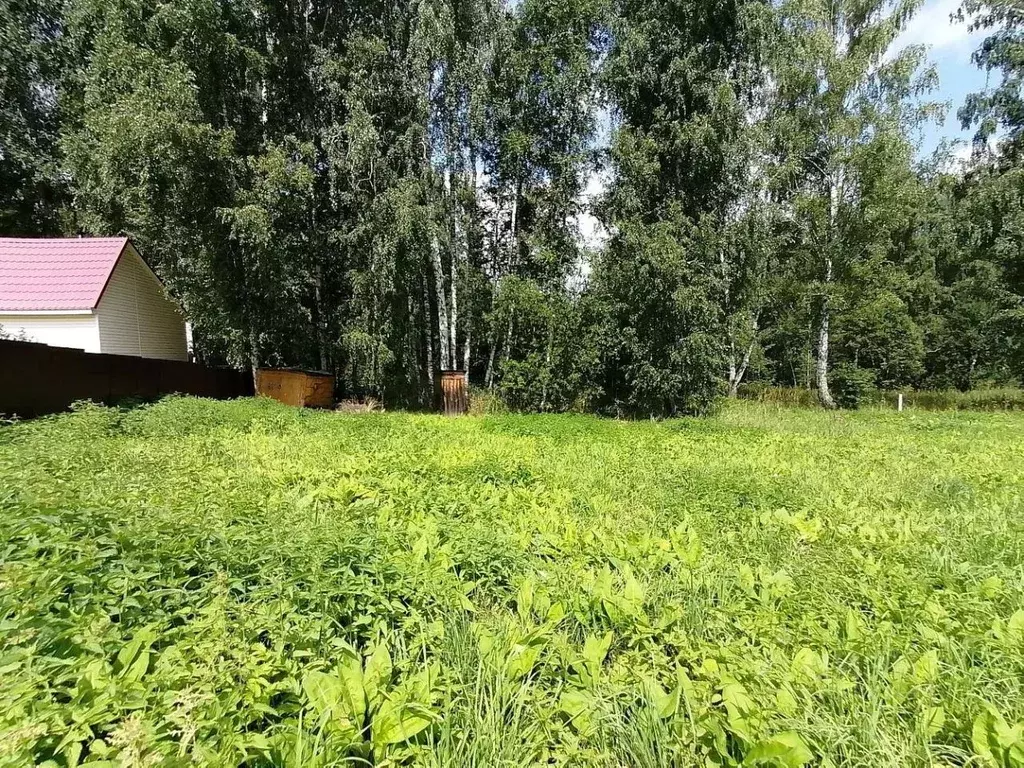 Участок в Новосибирская область, Новосибирский район, с. Барышево ... - Фото 1