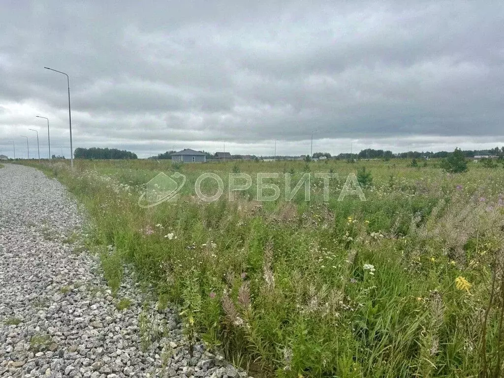 Участок в Тюменская область, Тюменский муниципальный округ, ... - Фото 2