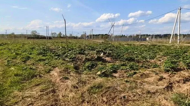 Участок в Московская область, Щелково городской округ, д. Каблуково ... - Фото 1