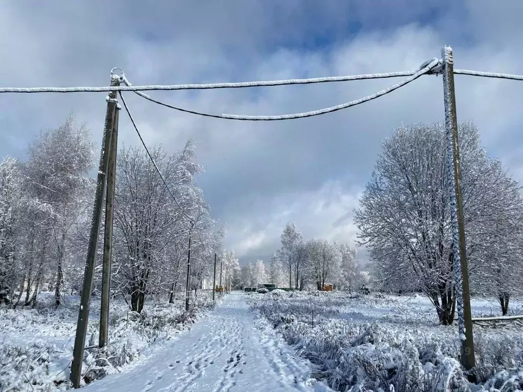 Участок в Московская область, Рузский муниципальный округ, д. ... - Фото 2