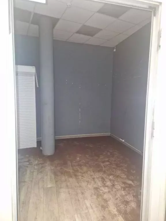 Помещение свободного назначения в Санкт-Петербург пл. Александра ... - Фото 1