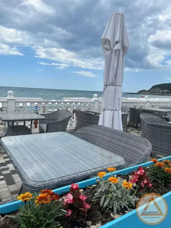 Студия Краснодарский край, Туапсинский муниципальный округ, с. ... - Фото 2