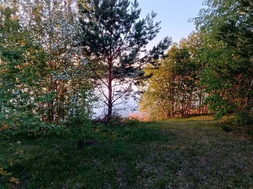 Дом в Касли, улица Лобашова (65 м) - Фото 2