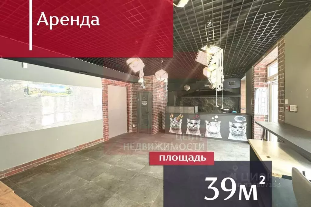 Помещение свободного назначения в Калининградская область, Калининград ... - Фото 1