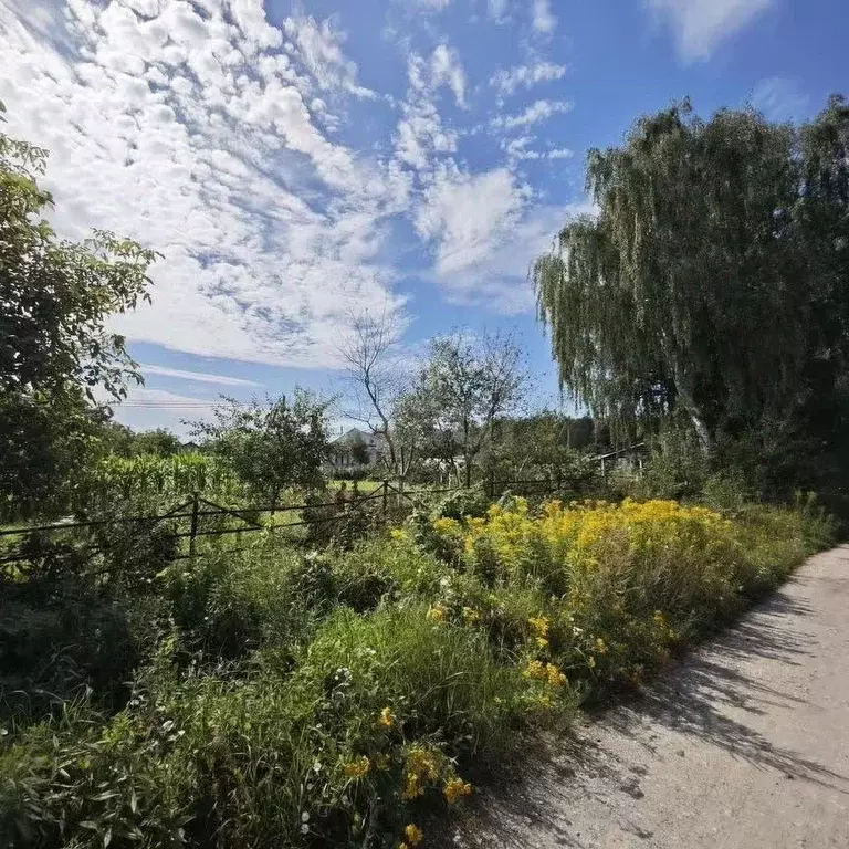 Участок в Калининградская область, Гурьевский муниципальный округ, ... - Фото 2