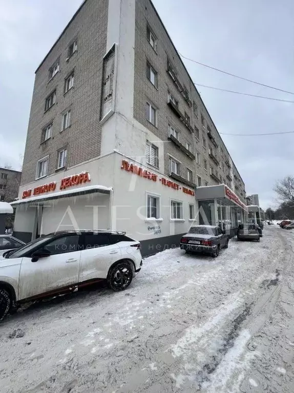 Помещение свободного назначения в Татарстан, Казань ул. Аделя Кутуя, ... - Фото 1