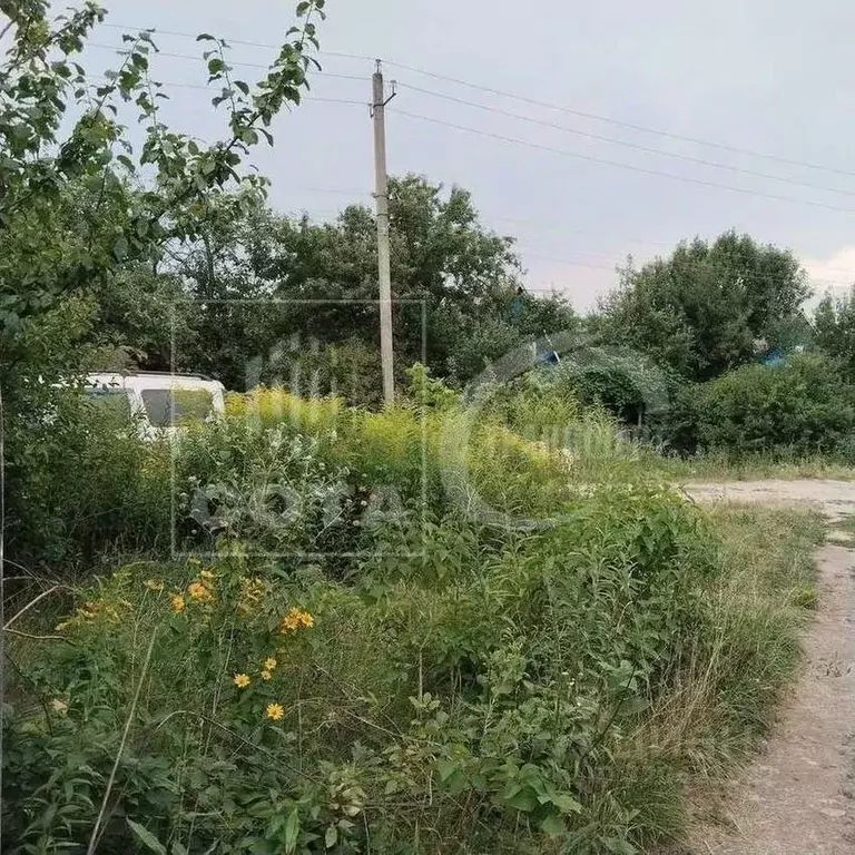 Участок в Воронежская область, Воронеж Отдых СНТ,  (5.0 сот.) - Фото 2