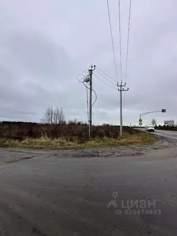 Участок в Липецкая область, Лебедянский муниципальный округ, с. Новое ... - Фото 1