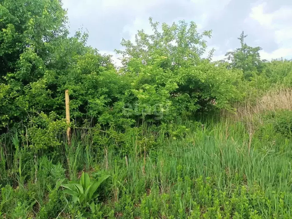 Участок в Ставропольский край, Ставрополь Рассвет СТ,  (6.0 сот.) - Фото 1