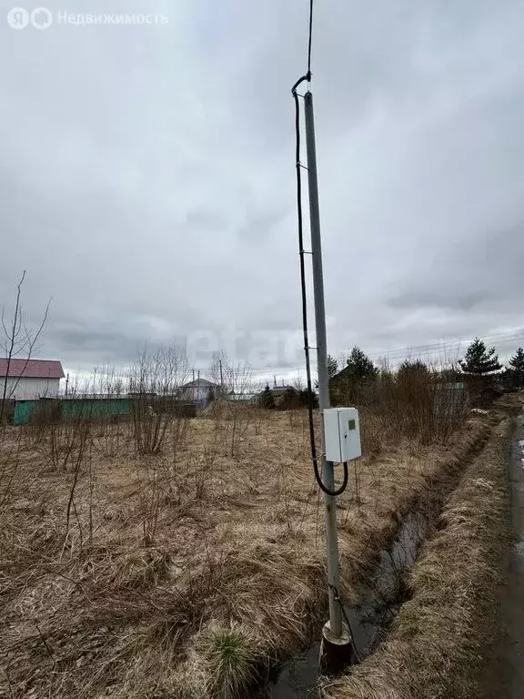 Участок в Прионежский район, село Заозерье (12 м) - Фото 1