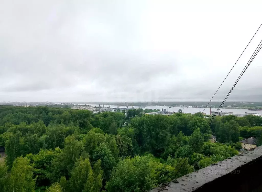 3-к кв. Ярославская область, Ярославль Летная ул., 10 (95.4 м) - Фото 0