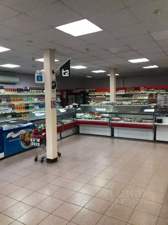 Помещение свободного назначения в Псковская область, Порхов ул. ... - Фото 1