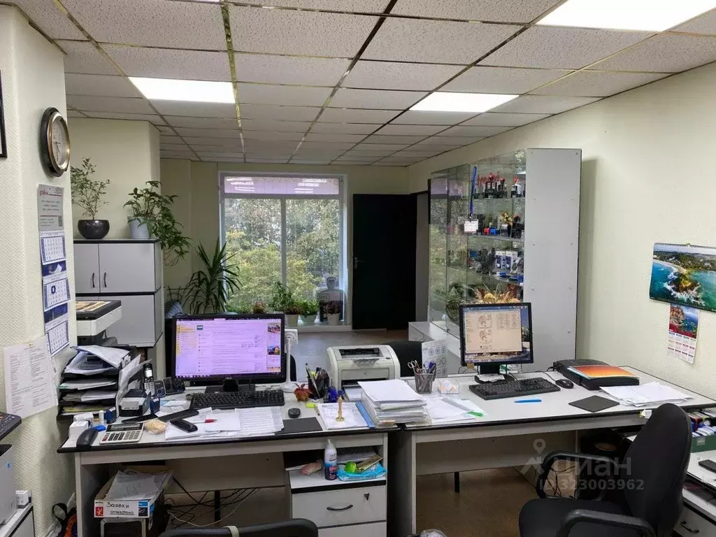 Помещение свободного назначения в Свердловская область, Екатеринбург ... - Фото 2