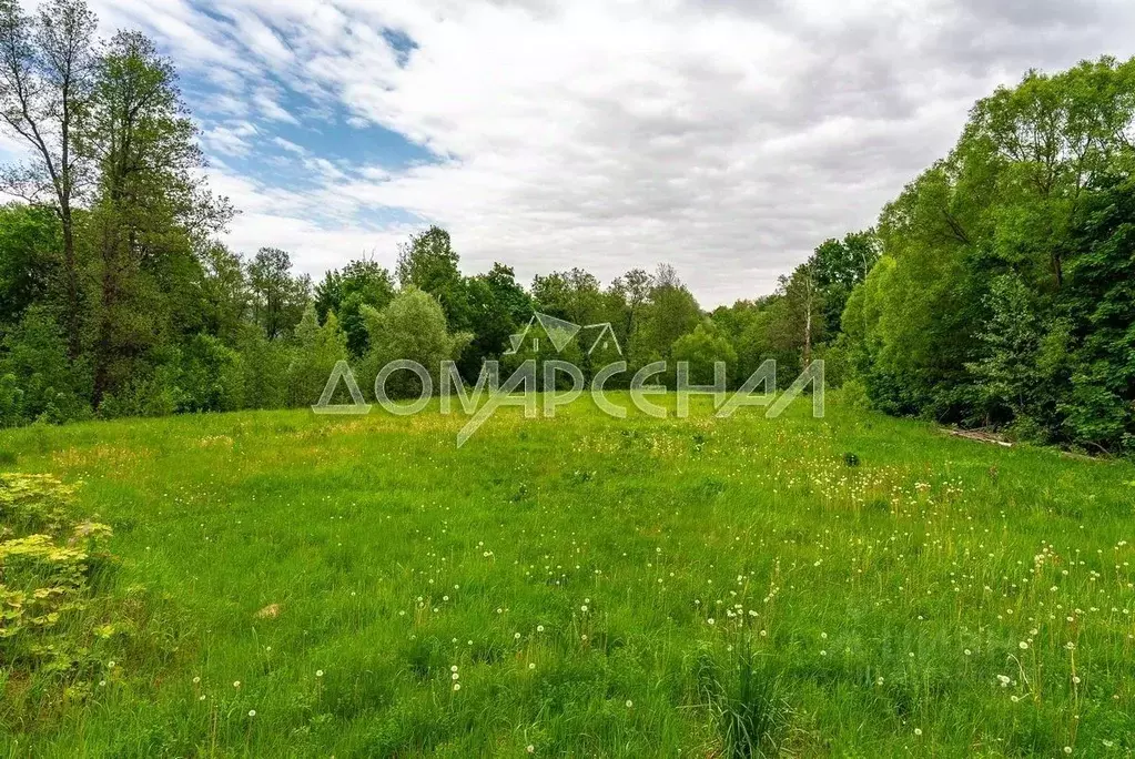 Участок в Москва № 239 кв-л,  (300.0 сот.) - Фото 2