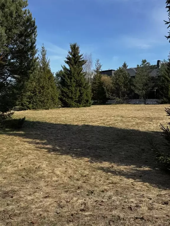 Участок в Московская область, Истра муниципальный округ, д. Чесноково ... - Фото 2