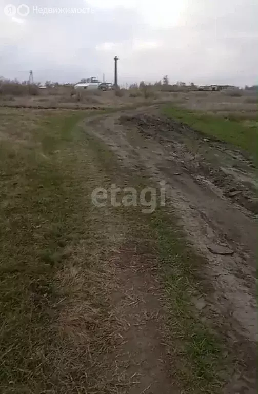 Участок в Курганская область, Кетовский муниципальный округ, село ... - Фото 1