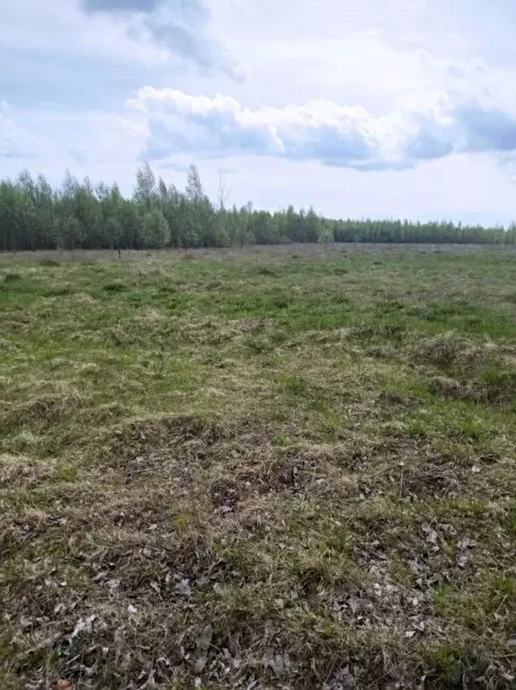 Участок в Новгородская область, Новгородский район, Ракомское с/пос, ... - Фото 1