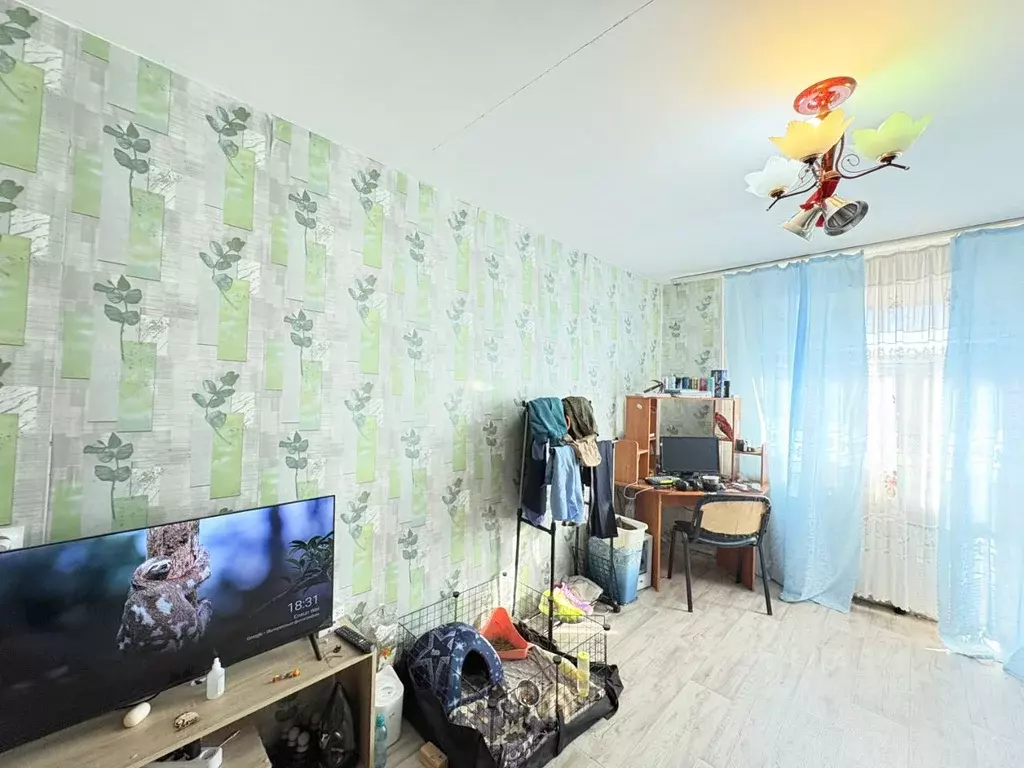 1-к кв. Новосибирская область, Кольцово рп 29 (34.0 м) - Фото 1