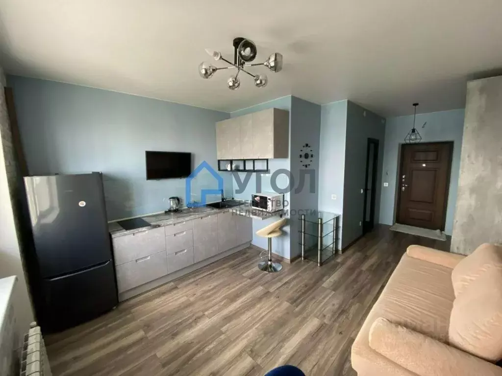 Студия Самарская область, Самара просп. Карла Маркса, 4Е (24.5 м) - Фото 2