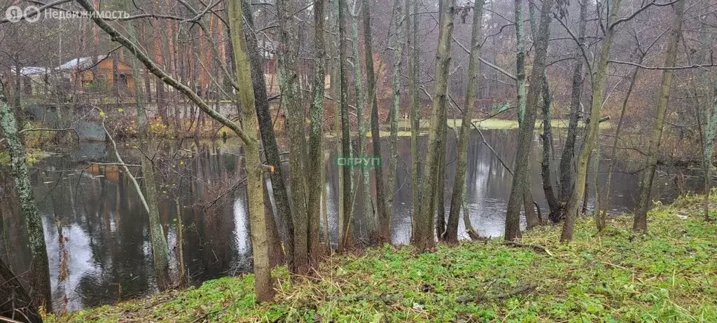 Участок в Пенза, проезд Грибоедова (30 м) - Фото 1