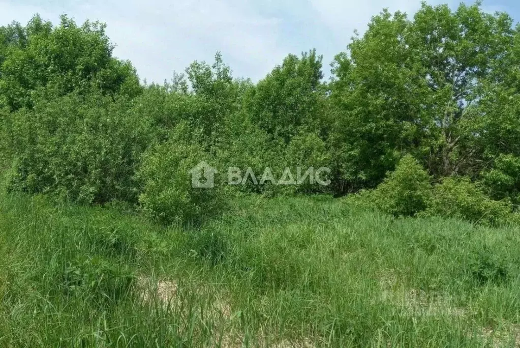 Участок в Нижегородская область, Семеновский муниципальный округ, д. ... - Фото 1