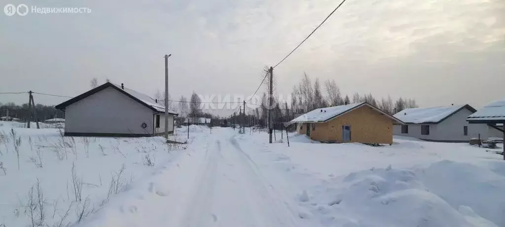 Участок в Станционный сельсовет, товарищество собственников ... - Фото 1