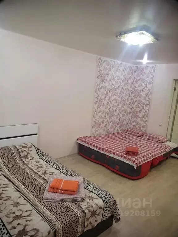 1-к кв. Саратовская область, Энгельс Трудовая ул., 12/2 (42.0 м) - Фото 1