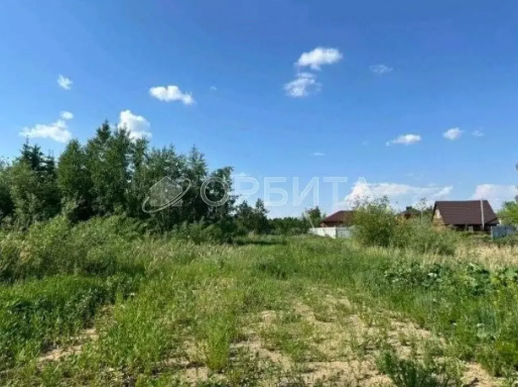 Участок в Тюменская область, Тюменский район, д. Елань 14 (5.0 сот.) - Фото 1