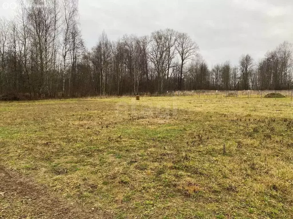 Участок в Ярославский муниципальный округ, село Еремеевское, Новая ... - Фото 2