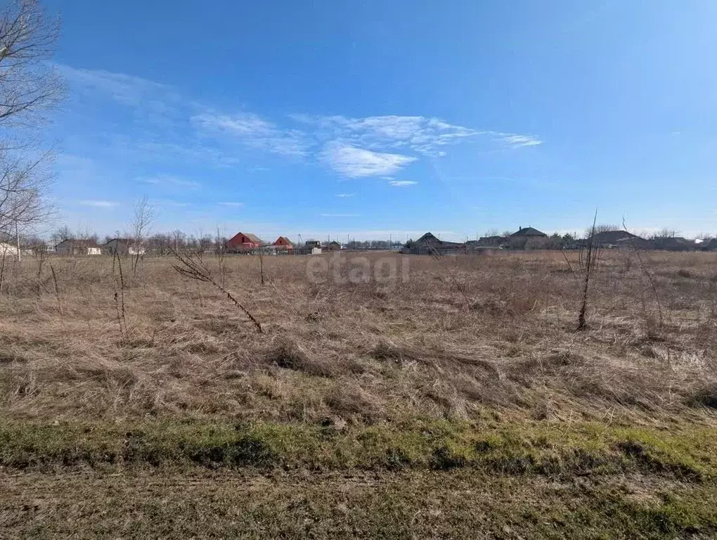 Участок в Краснодарский край, Темрюкский район, Краснострельское ... - Фото 2