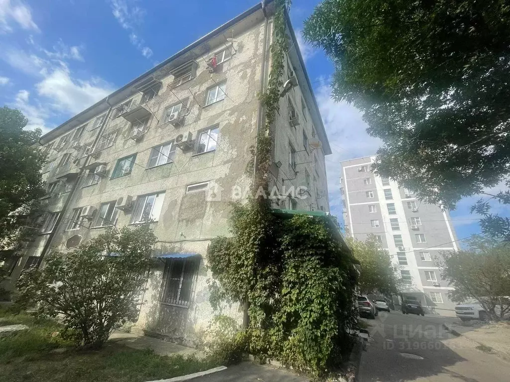 Комната Краснодарский край, Новороссийск ул. Видова, 184 (18.8 м) - Фото 0
