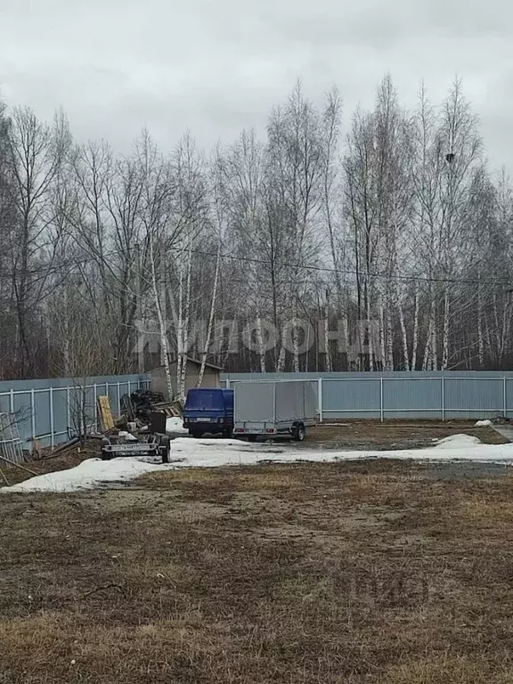 Участок в Новосибирская область, Новосибирский район, Криводановский ... - Фото 0