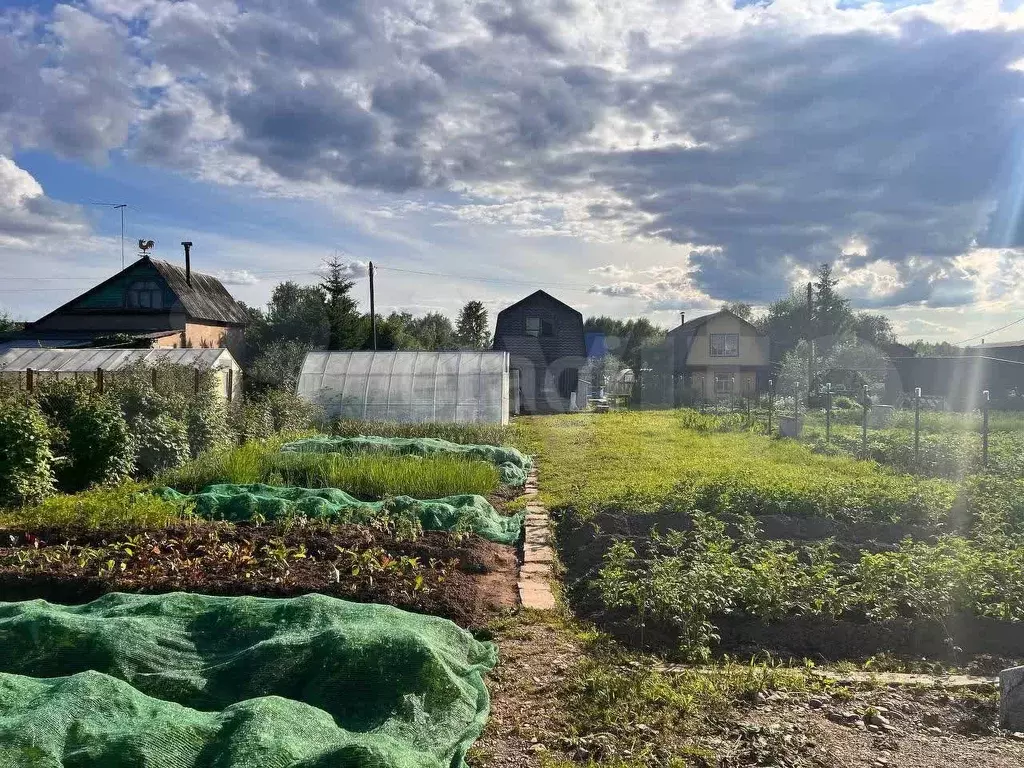 Участок 10 сот. (СНТ, ДНП) - Фото 1