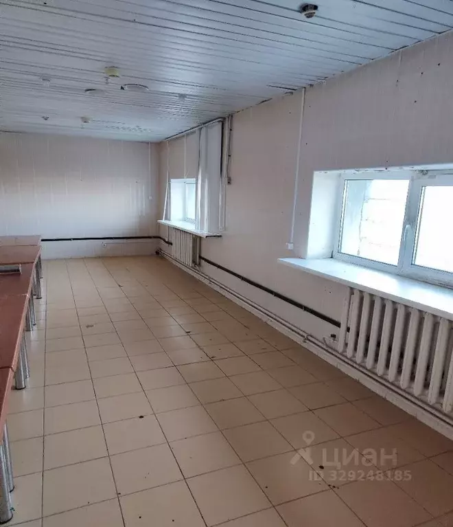 Помещение свободного назначения в Башкортостан, Уфа ул. Менделеева, ... - Фото 2