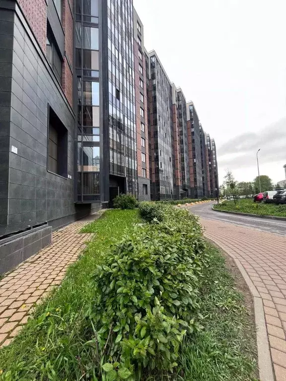 Студия Санкт-Петербург Кубинская ул., 34 (25.67 м) - Фото 0