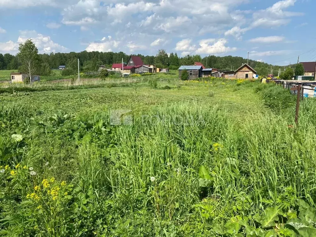 Участок в Новосибирская область, Новосибирский район, Березовский ... - Фото 1